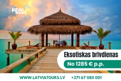 Tropu piedzīvojumi: pasaule gaida! 🍹🌺 Latvia Tours - Berga bazārs